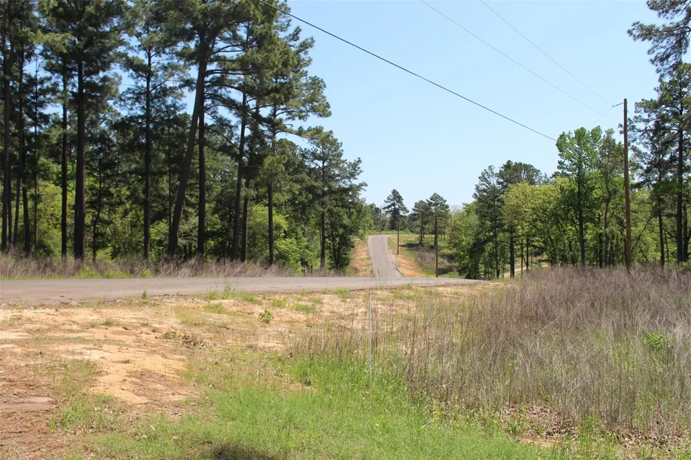 174 Pr 1311 Centerville, TX 75833