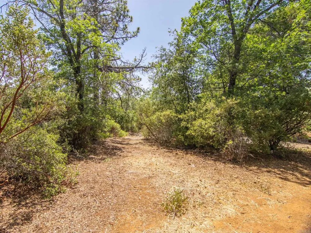 7 West Incense Cedar Road Julian, CA 92036
