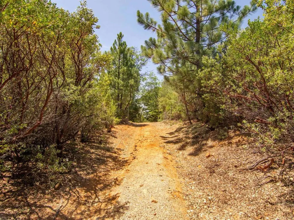 7 West Incense Cedar Road Julian, CA 92036