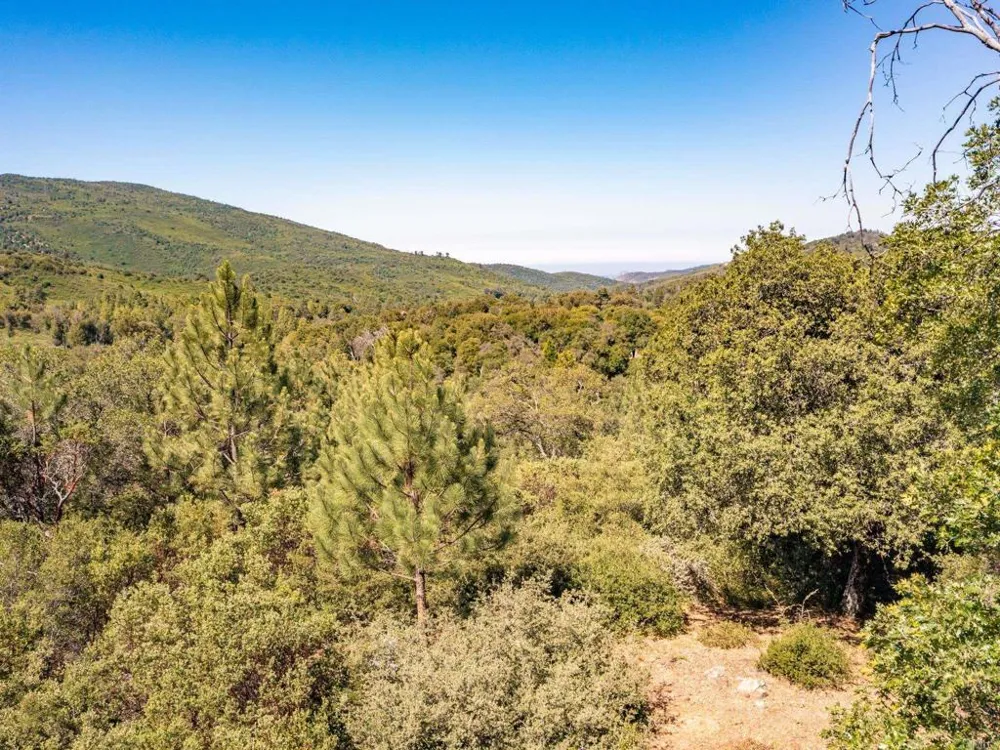 7 West Incense Cedar Road Julian, CA 92036