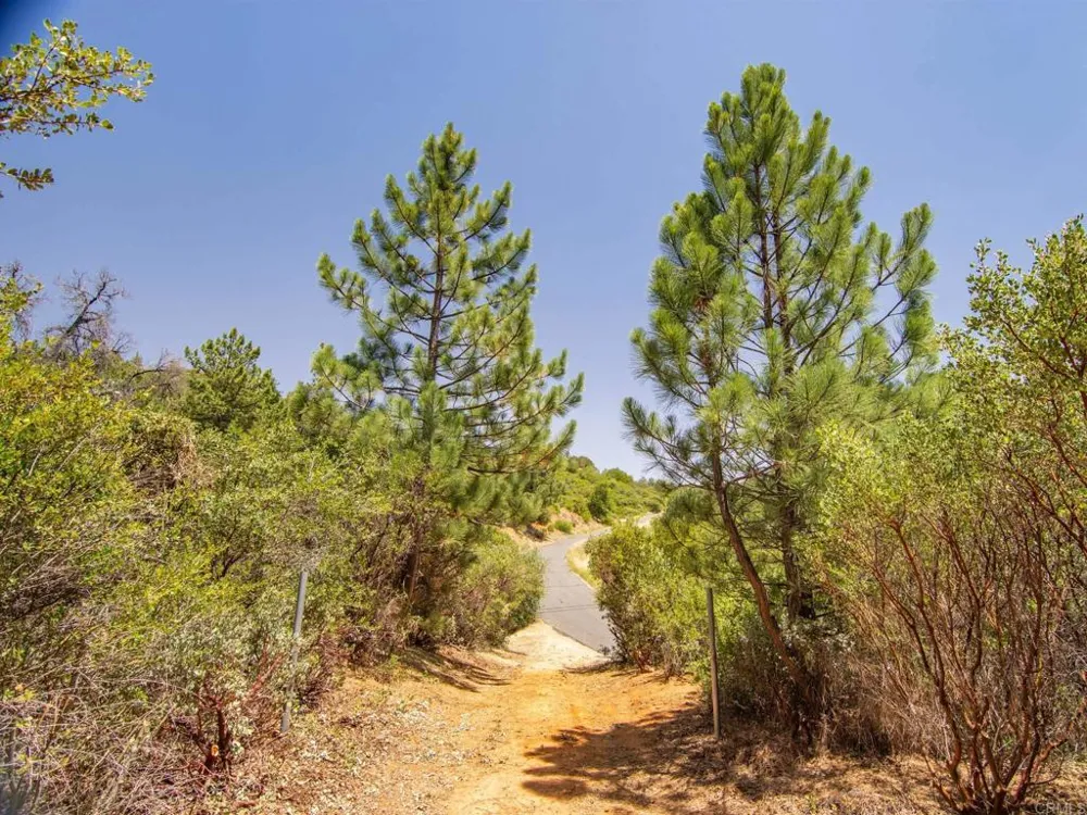 7 West Incense Cedar Road Julian, CA 92036