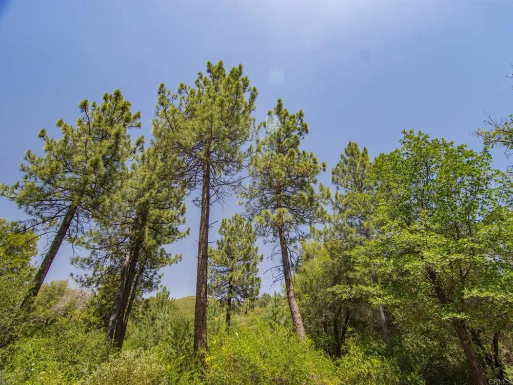 7 West Incense Cedar Road Julian, CA 92036