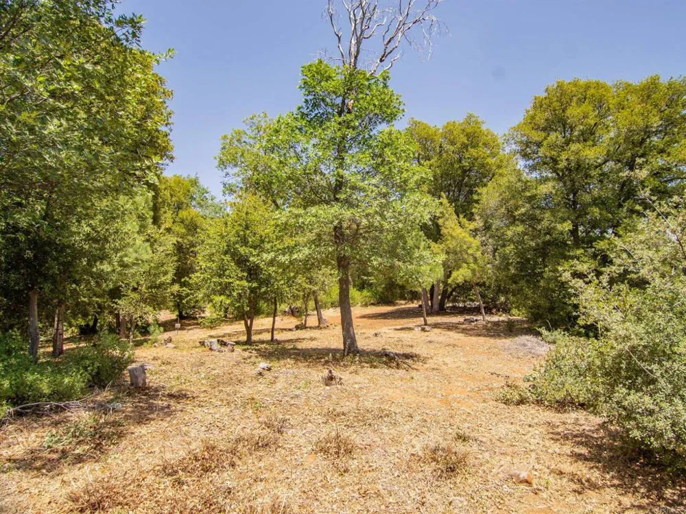 7 West Incense Cedar Road Julian, CA 92036