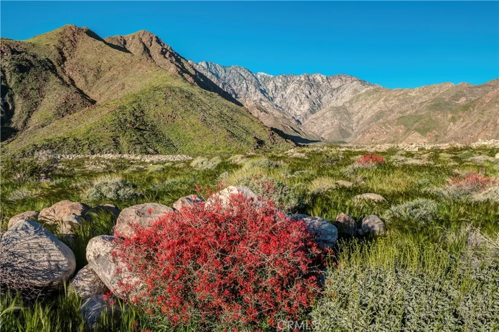 2309 CityView Drive Palm Springs, CA 92262