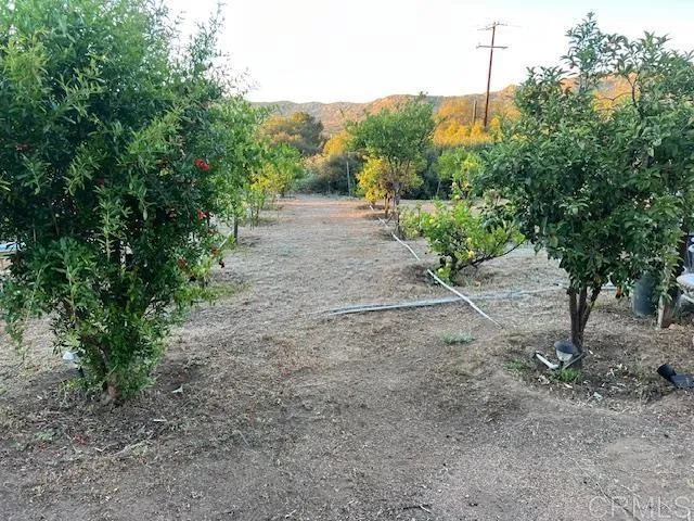 2526 Forest Park Rd Jamul, CA 91935
