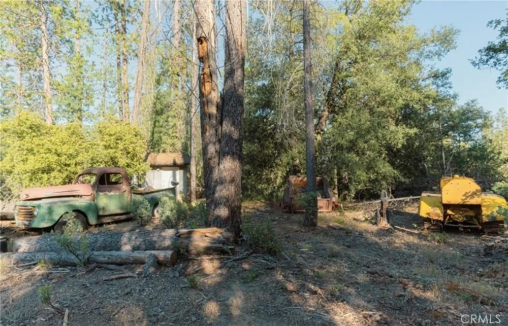 10902 Stout Lane Coulterville, CA 95311