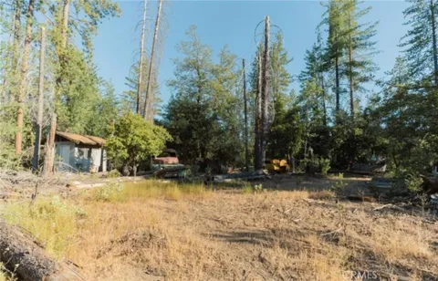 10902 Stout Lane