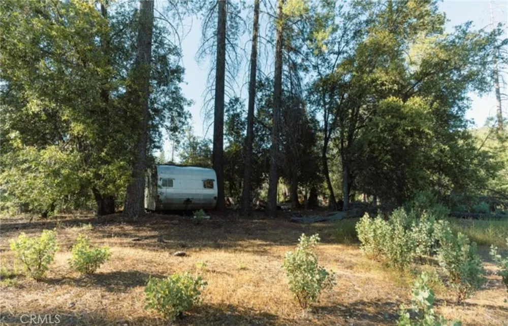 10902 Stout Lane Coulterville, CA 95311