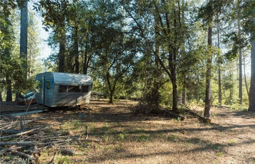 10902 Stout Lane Coulterville, CA 95311