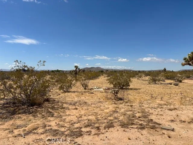 1 Mitch Road Landers, CA 92284
