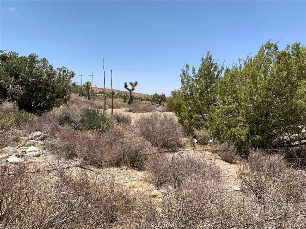 VIC AVE Z4 234 STE Llano, CA 93544