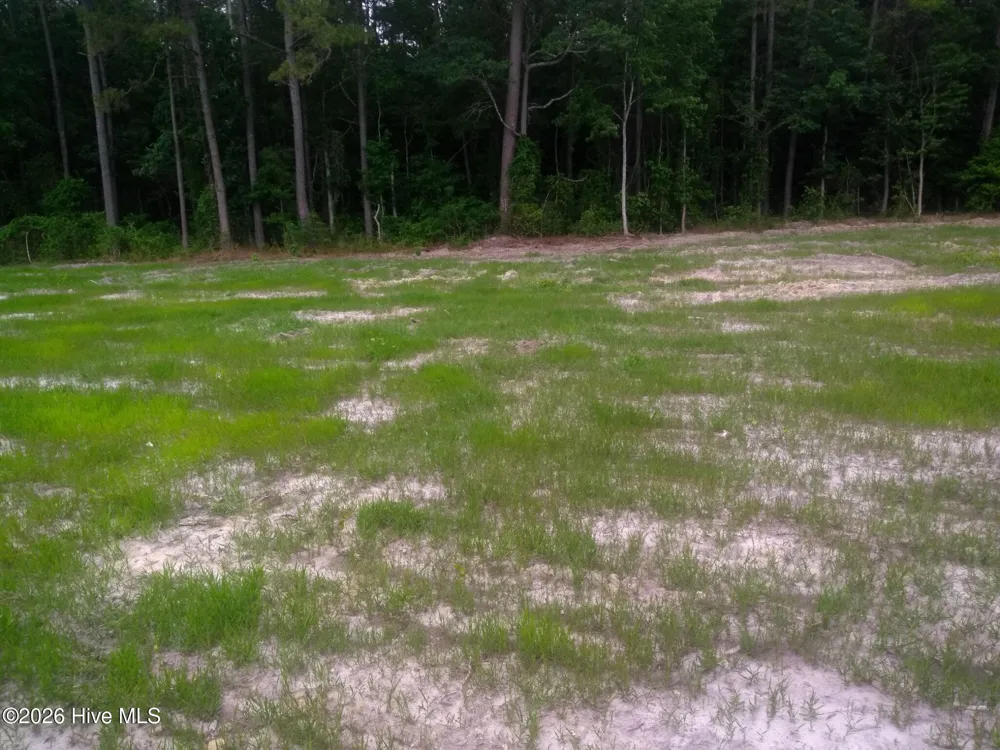 Tbd Pridgen Dead End Road La Grange, NC 28551