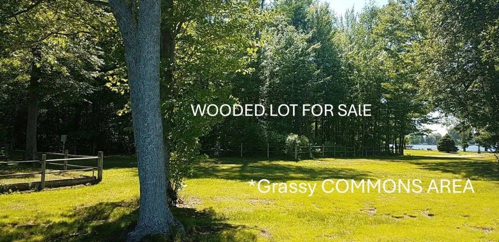 Salisbury Butman Township, MI 48624