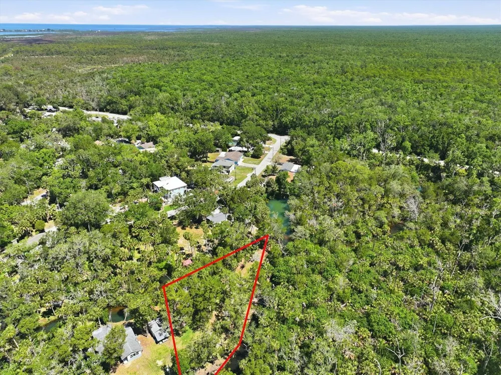 6248 COLONY CIRCLE Weeki Wachee, FL 34607