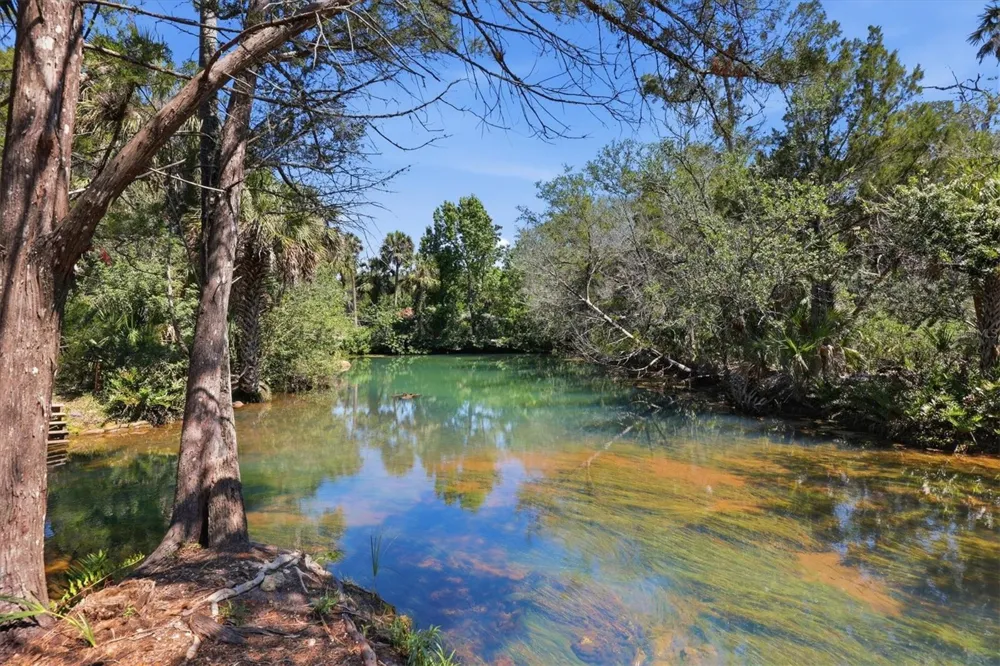 6248 COLONY CIRCLE Weeki Wachee, FL 34607