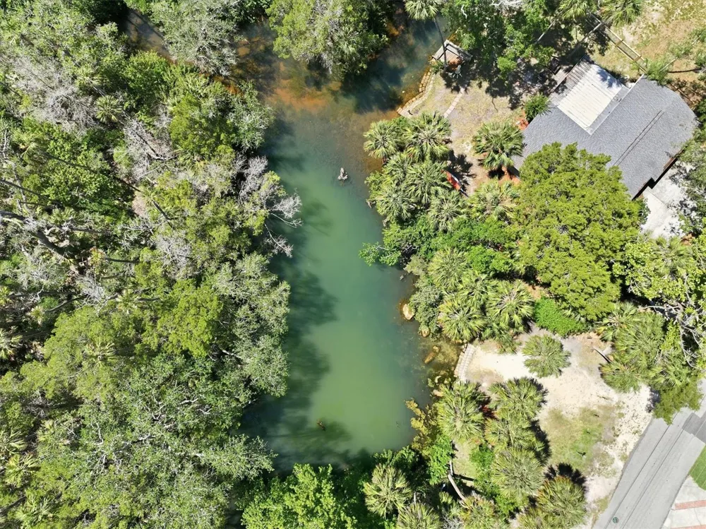6248 COLONY CIRCLE Weeki Wachee, FL 34607