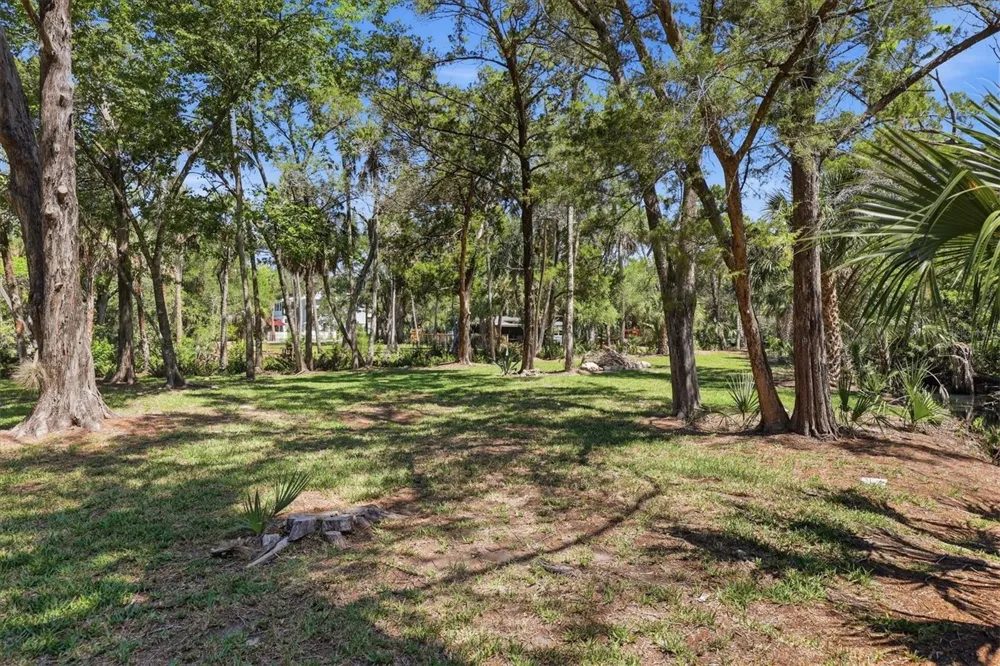 6248 COLONY CIRCLE Weeki Wachee, FL 34607