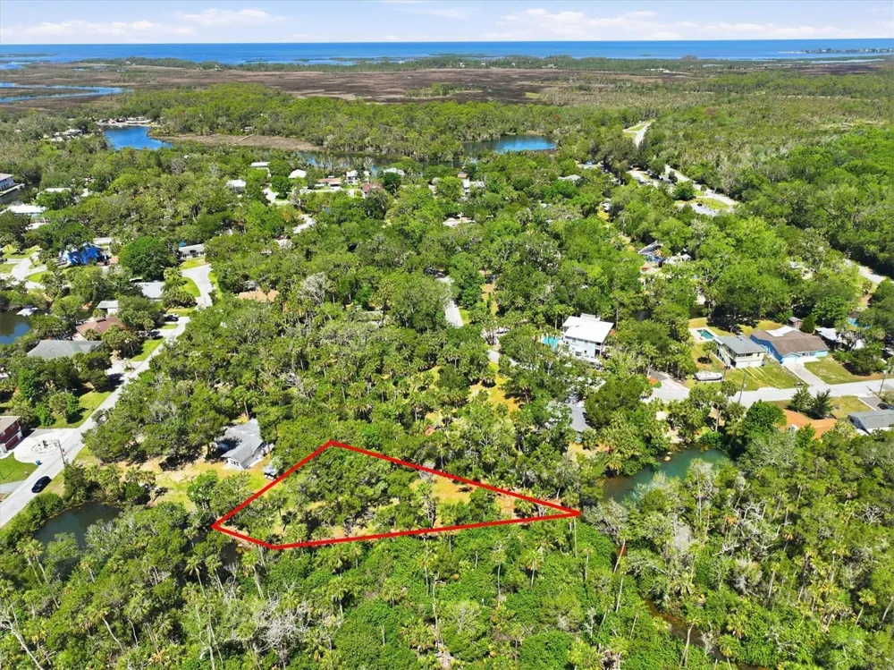6248 COLONY CIRCLE Weeki Wachee, FL 34607