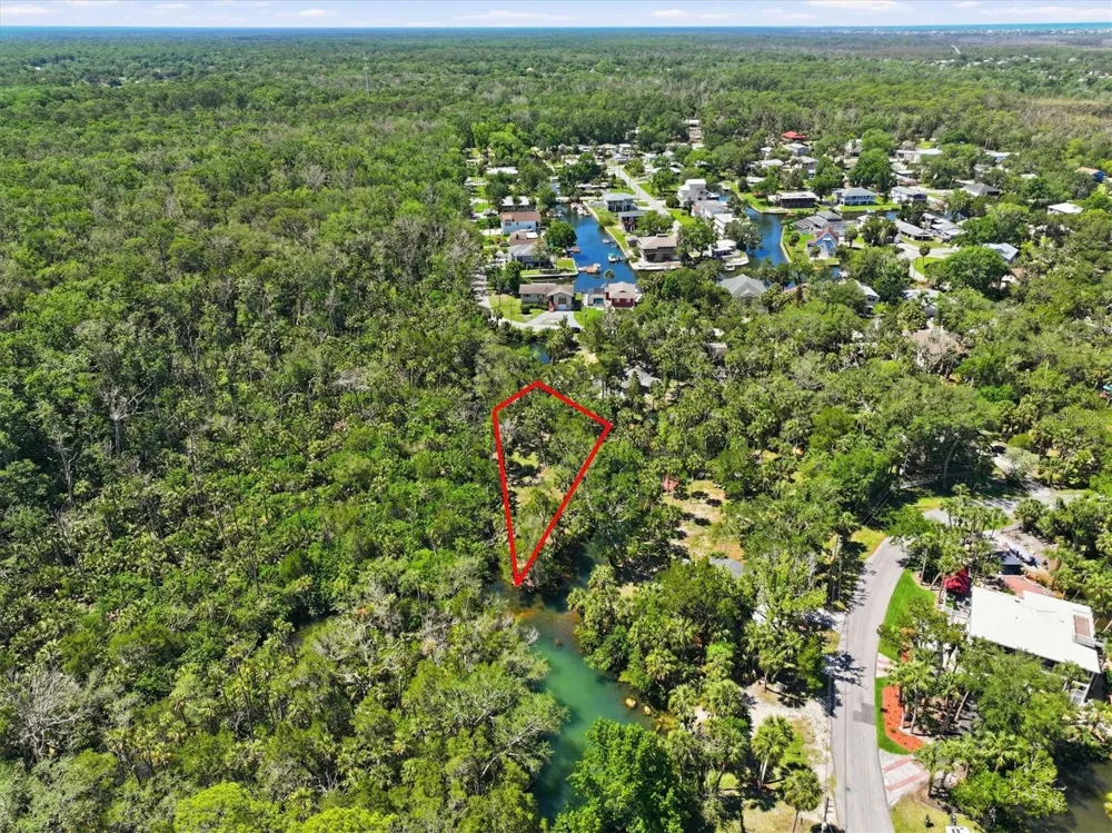 6248 COLONY CIRCLE Weeki Wachee, FL 34607
