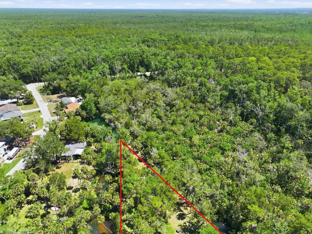 6248 COLONY CIRCLE Weeki Wachee, FL 34607