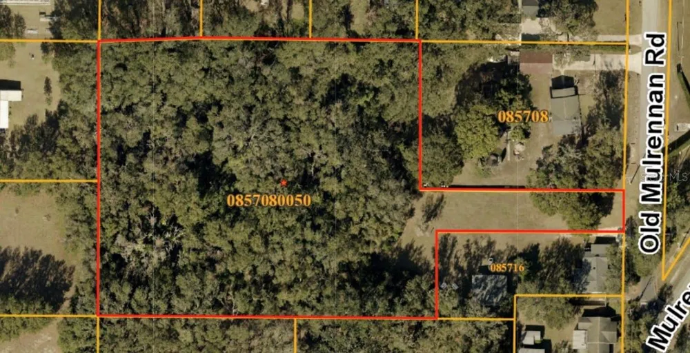 224 OLD MULRENNAN ROAD Valrico, FL 33594