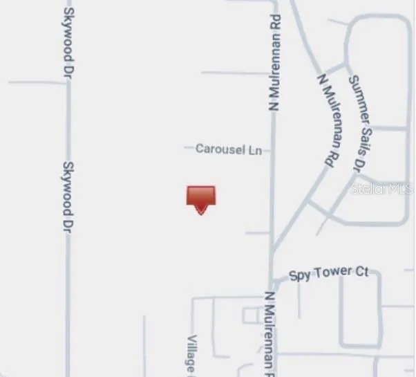 224 OLD MULRENNAN ROAD Valrico, FL 33594