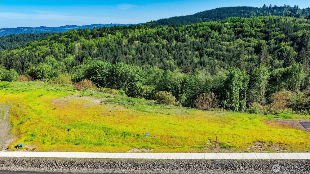 0 Carmen Sylvia Drive #14 Kalama, WA 98625