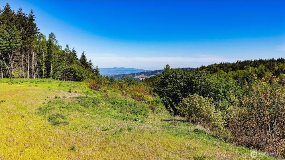 0 Carmen Sylvia Drive #14 Kalama, WA 98625