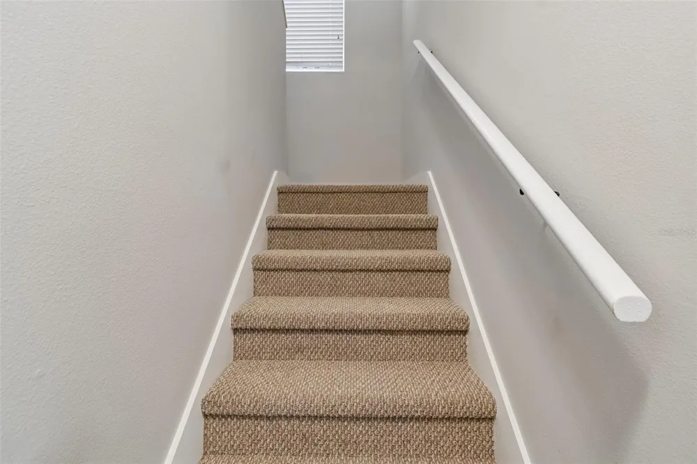 5401 LOOKOUT PASS Wesley Chapel, FL 33544