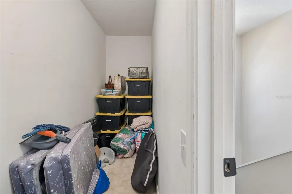 5401 LOOKOUT PASS Wesley Chapel, FL 33544