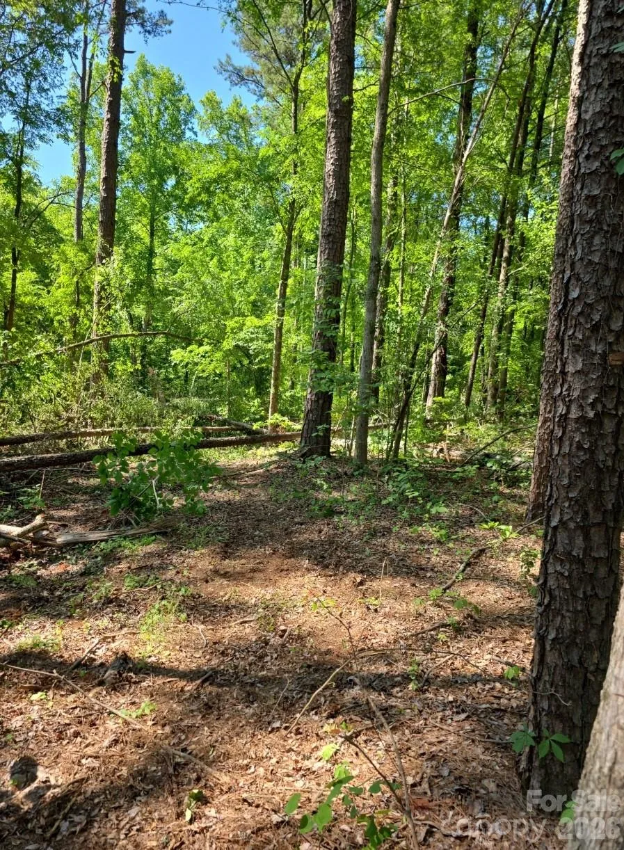 2340 Montford Avenue NW #3 Concord, NC 28027