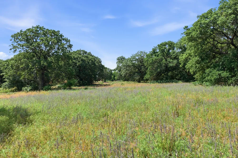3523 E Highway 199 #L Springtown, TX 76082