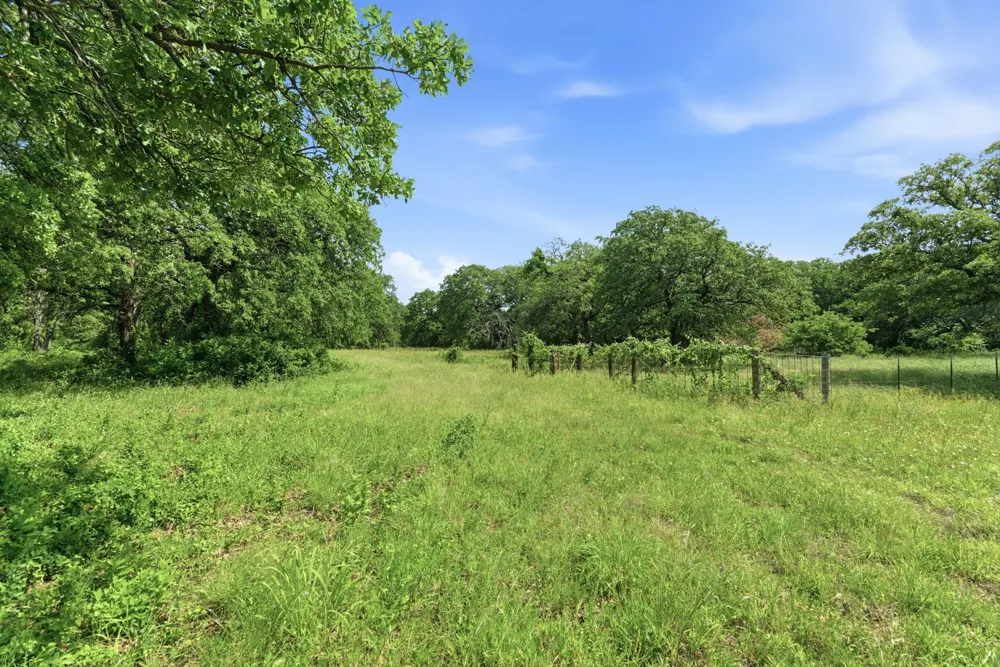 3523 E Highway 199 #L Springtown, TX 76082