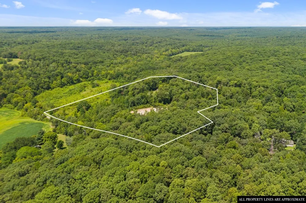1975 Kelly Rd Holladay, TN 38341