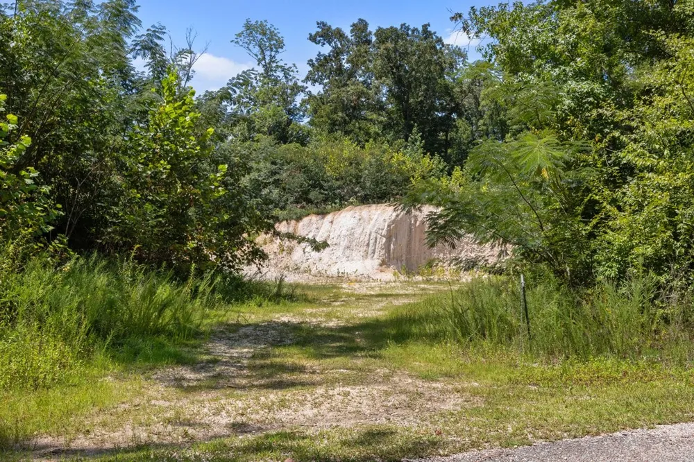1975 Kelly Rd Holladay, TN 38341