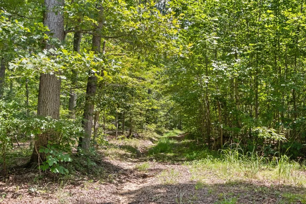 1975 Kelly Rd Holladay, TN 38341