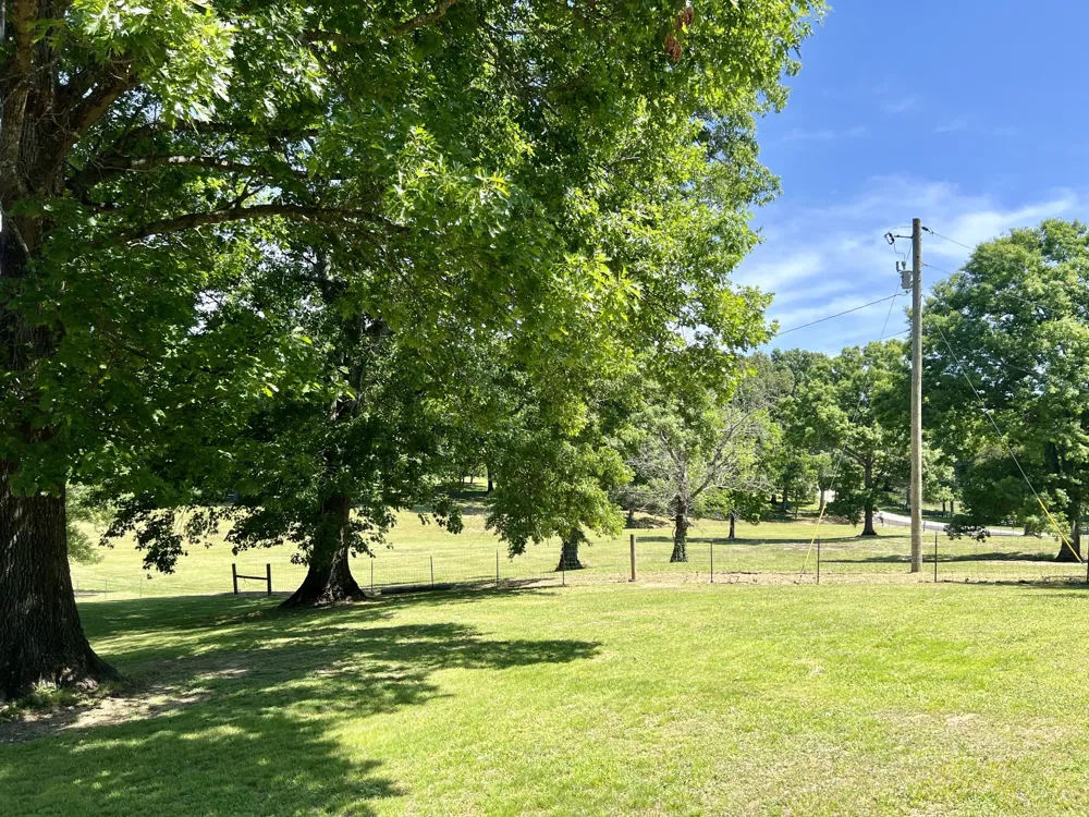 9049 Bradley Creek Rd Lascassas, TN 37085