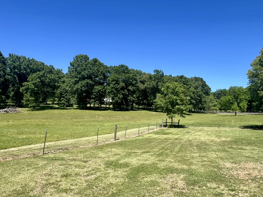 9049 Bradley Creek Rd Lascassas, TN 37085