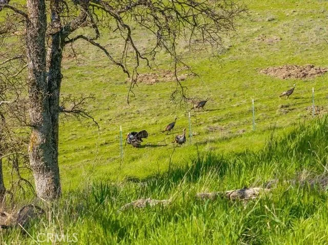 18920 Reeds Creek Road Red Bluff, CA 96080