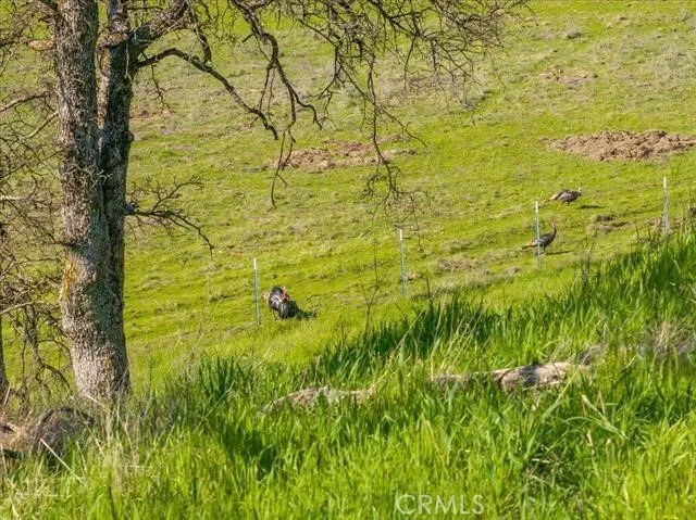 18920 Reeds Creek Road Red Bluff, CA 96080
