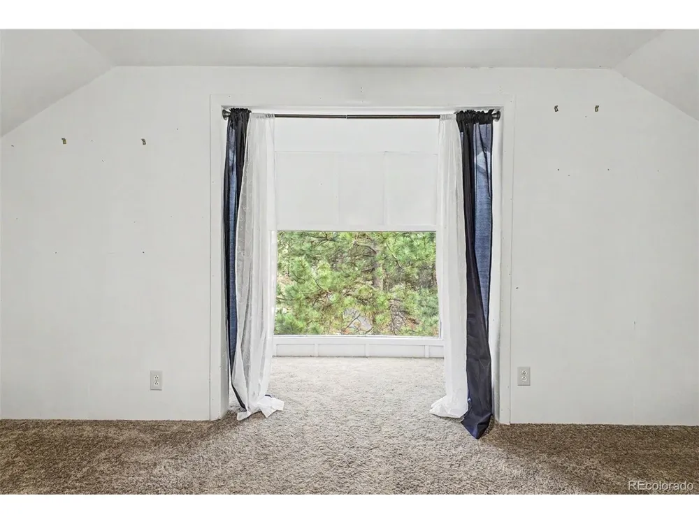 145 Bailey Drive Bailey, CO 80421