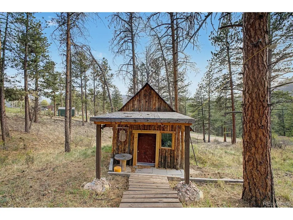 145 Bailey Drive Bailey, CO 80421