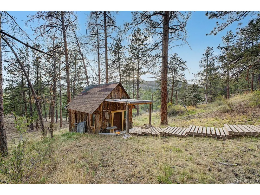 145 Bailey Drive Bailey, CO 80421