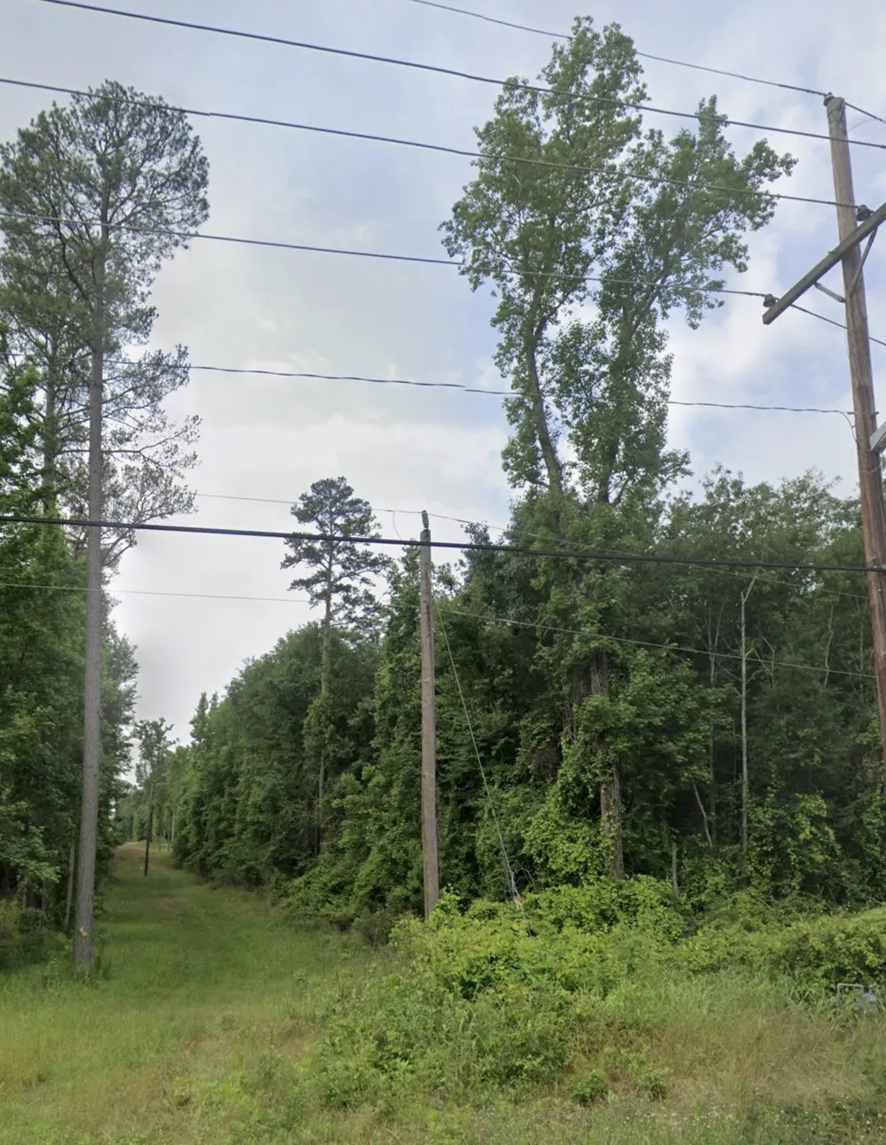 1420 Country Club Circle Minden, LA 71055