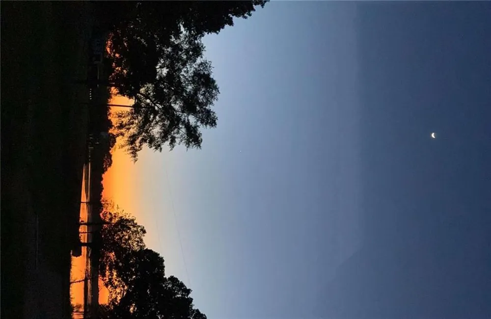 225 County Road 115 Cedar Bluff, AL 35959