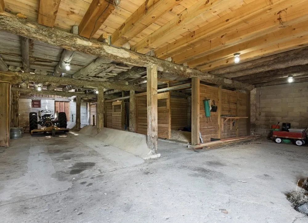 7322 Fryzelka Road Grant Township, MI 49620