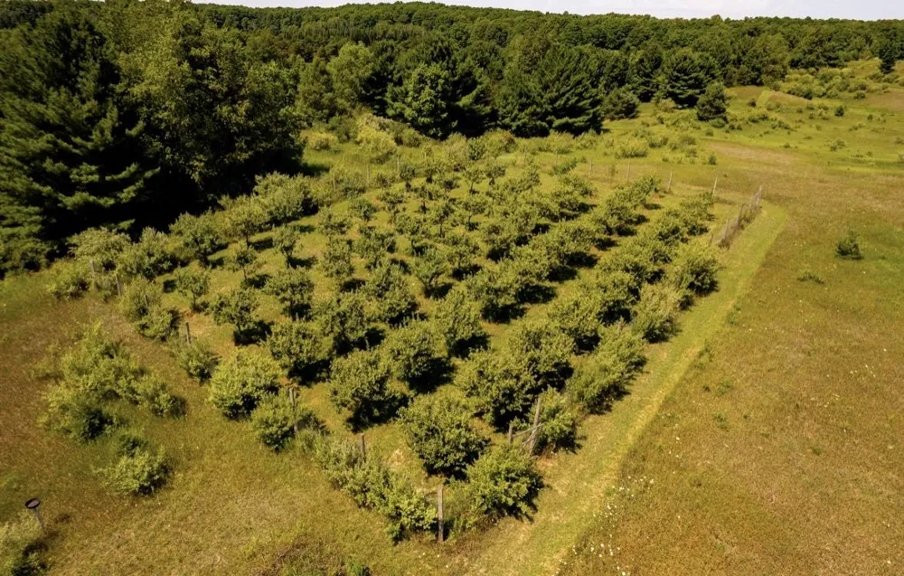7322 Fryzelka Road Grant Township, MI 49620