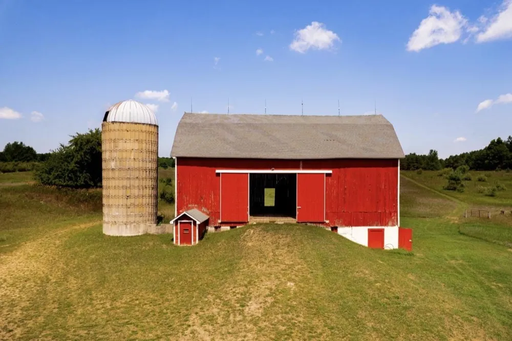 7322 Fryzelka Road Grant Township, MI 49620