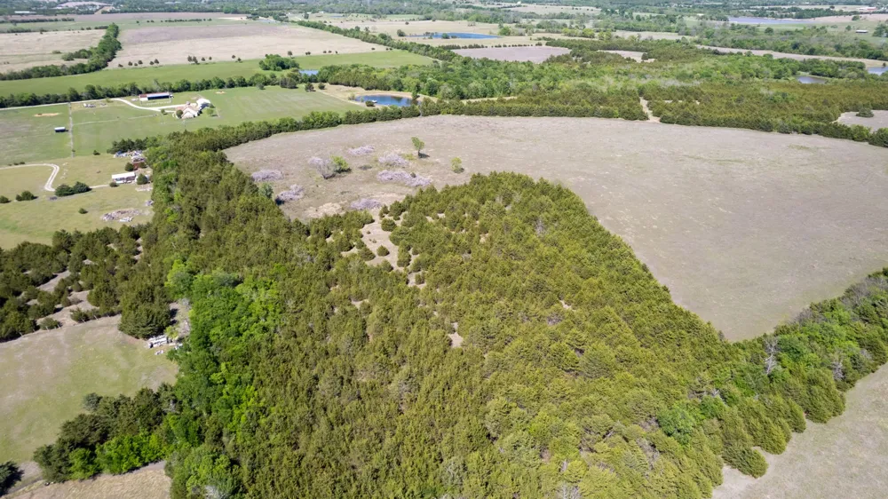 County Road 5020 Road #OF Blue Ridge, TX 75424