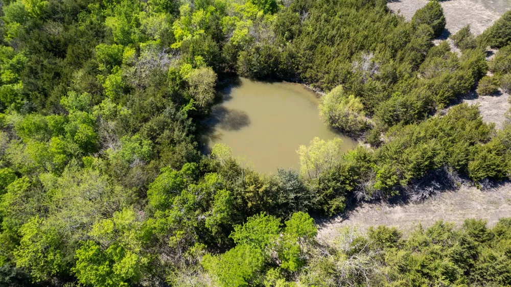 County Road 5020 Road #OF Blue Ridge, TX 75424